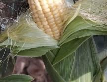 赤峰收購(gòu)舊鞋的電話號(hào)碼是多少