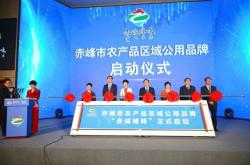 赤峰葡萄包裝袋廠家電話號碼