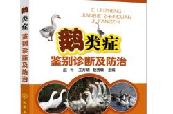 赤峰五三養(yǎng)鵝廠電話號碼多少