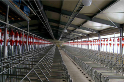 赤峰德贏養(yǎng)殖設備廠電話號碼