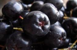 赤峰收葡萄酒電話是多少號(hào)