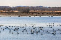 赤峰羽毛加工廠電話多少號(hào)