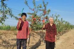 赤峰百柳采摘園電話號(hào)碼查詢