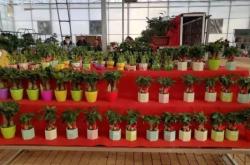 赤峰市批發(fā)市場(chǎng)在哪里?