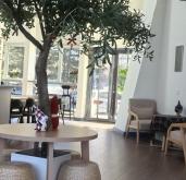 赤峰星塵咖啡店電話地址查詢