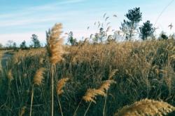 赤峰元寶山中餐廳電話號碼