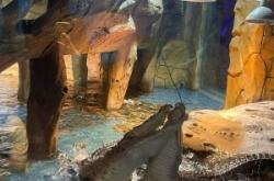 赤峰市海底樂園電話號碼查詢