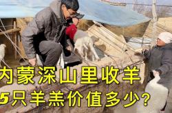 赤峰狗養(yǎng)殖戶電話號(hào)碼查詢