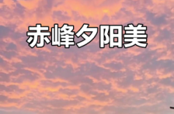 赤峰壹豐代駕電話號碼多少