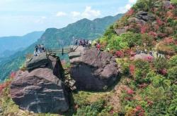 赤峰元寶山花卉基地電話號(hào)碼
