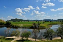 赤峰林西小胡同電話號碼多少