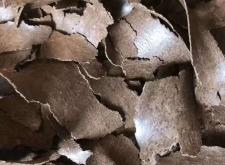 赤峰花生餅廠家聯(lián)系電話號碼