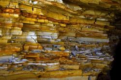 赤峰五洲營業(yè)部電話