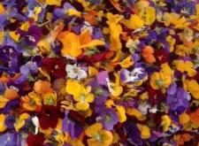 赤峰解憂花鋪電話號碼多少號