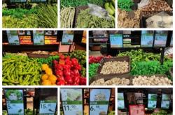 赤峰韭花黃瓜種植基地電話號(hào)碼