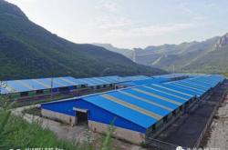 赤峰養(yǎng)殖牛場出租電話多少號