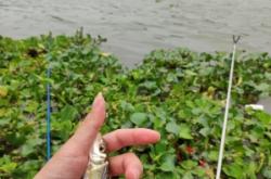 赤峰附近鉤魚地點電話多少號