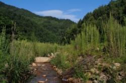 赤峰到安慶溝的拼車電話號碼