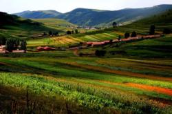 赤峰市松山飼料廠電話號(hào)碼