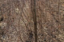 赤峰賣吸鐵石的電話地址是多少