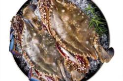 赤峰海鮮梭子蟹批發(fā)電話號碼