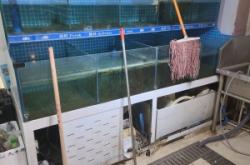 赤峰回收魚缸電話多少號碼