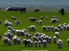 內(nèi)蒙古赤峰市阿旗