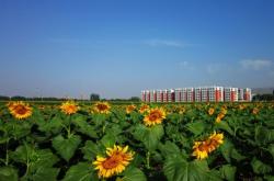 赤峰紅廟子養(yǎng)殖場地址電話號碼
