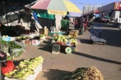 赤峰大板煎餅批發(fā)市場電話號碼