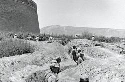 赤峰軍哥水果店地址電話號碼