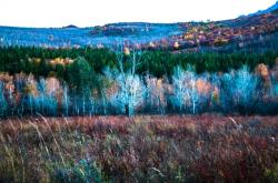 赤峰韓盛萬悅城電話地址查詢