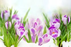 赤峰市紅花溝鎮(zhèn)政府電話號(hào)碼