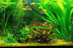 赤峰雨林造景公司簡介電話號(hào)碼