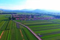 赤峰金太陽種植合作社電話