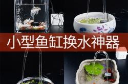 赤峰水泵魚缸批發(fā)電話多少號