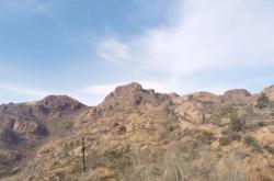 赤峰動(dòng)植物園訂票電話查詢號(hào)碼