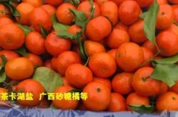 赤峰小酥肉批發(fā)電話地址查詢(xún)