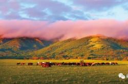 赤峰千合美容院地址電話號碼