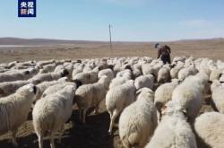 赤峰市禁牧大隊地址電話號碼