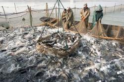 赤峰市東湖漁場電話多少號(hào)