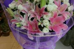 赤峰桔梗鮮花團(tuán)購電話多少號