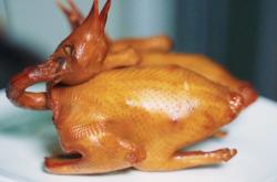 赤峰市賣乳鴿的地方電話號碼