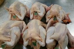 赤峰老鵝屠宰電話多少啊