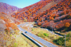 赤峰林西川菜館地址電話號(hào)碼