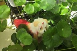 云澤煙酒赤峰代理電話號(hào)碼查詢