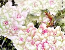 赤峰雅俗藝術(shù)館電話(huà)號(hào)碼是多少