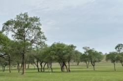 赤峰市豐源玩具城電話號碼