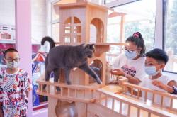 赤峰新華書店貓屋電話地址查詢