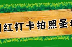 赤峰羊駝萌寵體驗館電話號碼