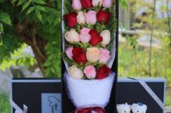 赤峰天山玫瑰花批發(fā)電話號碼